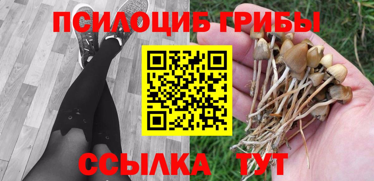 Зеленогорск  Галлюциногенные грибы ЛСД  Вход с VPN 